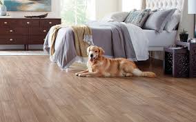 Close-up of a pet-friendly luxury vinyl plank floor built to resist scratches and stains